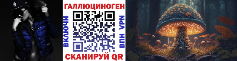 Купить где  Курганинск  Псилоцибиновые грибы мухоморы 