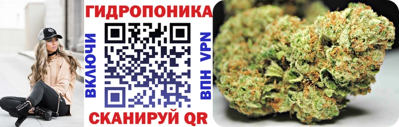 МАРИХУАНА сатива  Купить где  Курганинск 